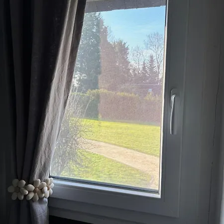 L Insolite * Saint-Etienne-l'Allier
